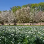 Roma porta la sua Strategia Verde a Parma