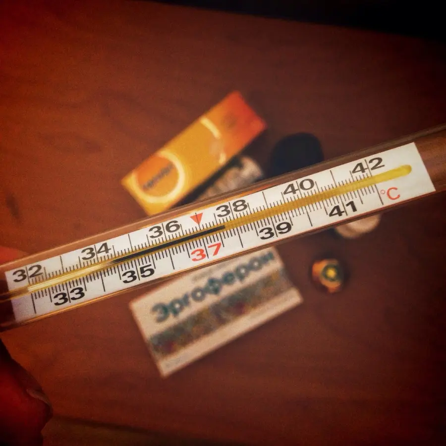 Raffreddore: cosa fare per alleviare i sintomi e affrontare con calma uno dei disturbi più comuni