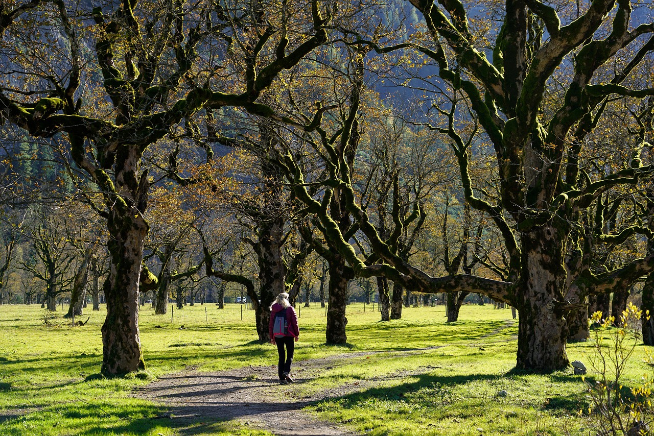 Una giornata per celebrare natura e comunità