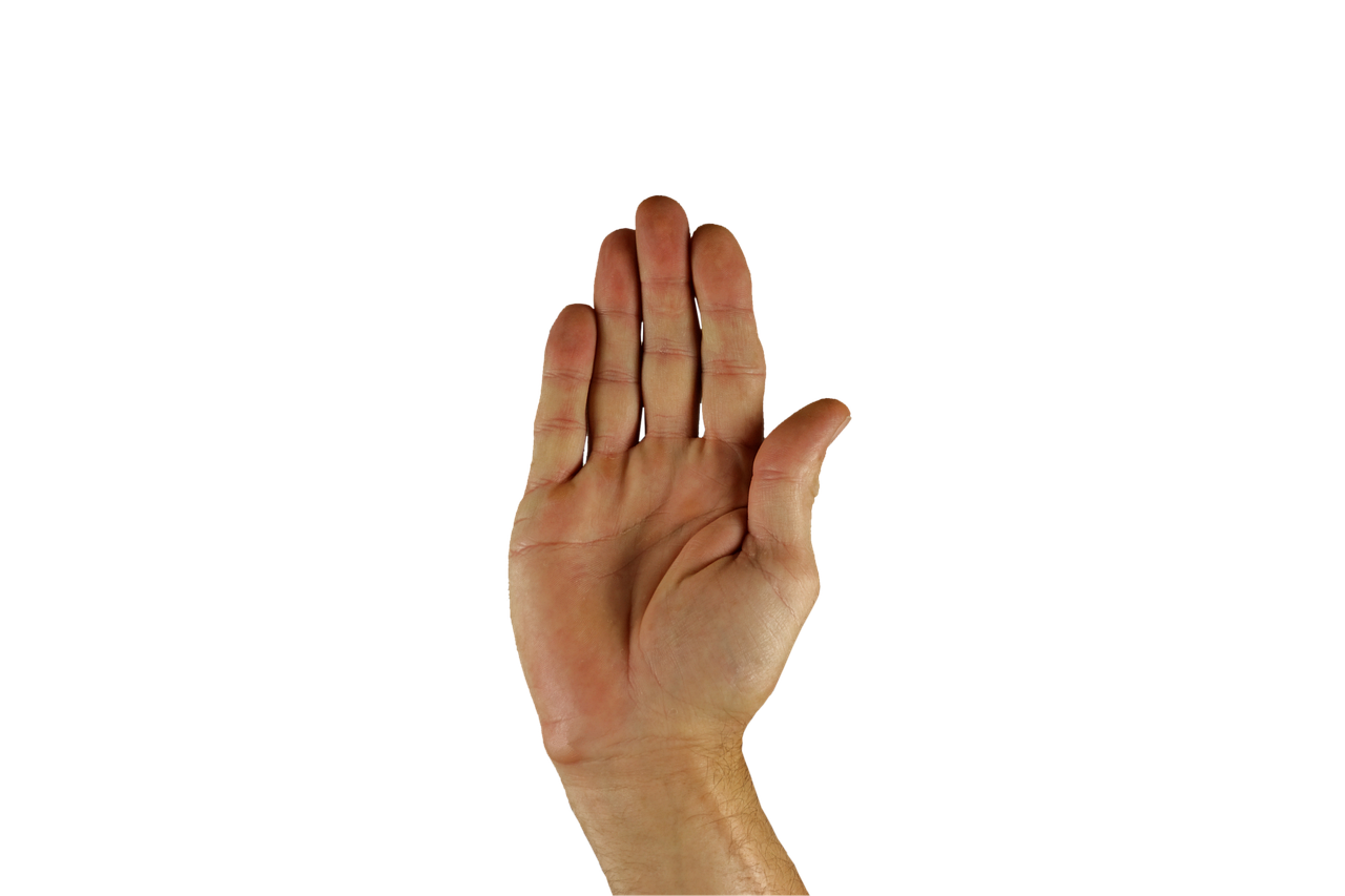 Divieto di manifestazione a Largo del Nazareno: intervento delle forze dell’ordine a Roma