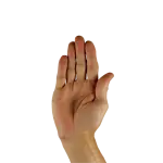 Divieto di manifestazione a Largo del Nazareno: intervento delle forze dell’ordine a Roma