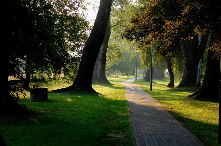 Riqualificazione urbana e verde pubblico: confronto aperto nel Municipio Roma V