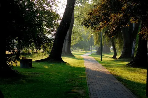 Riqualificazione urbana e verde pubblico: confronto aperto nel Municipio Roma V