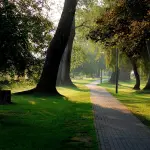 Riqualificazione urbana e verde pubblico: confronto aperto nel Municipio Roma V