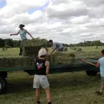 AGRISTART, ARSIAL investe sui talenti e apre i tirocini extracurriculari