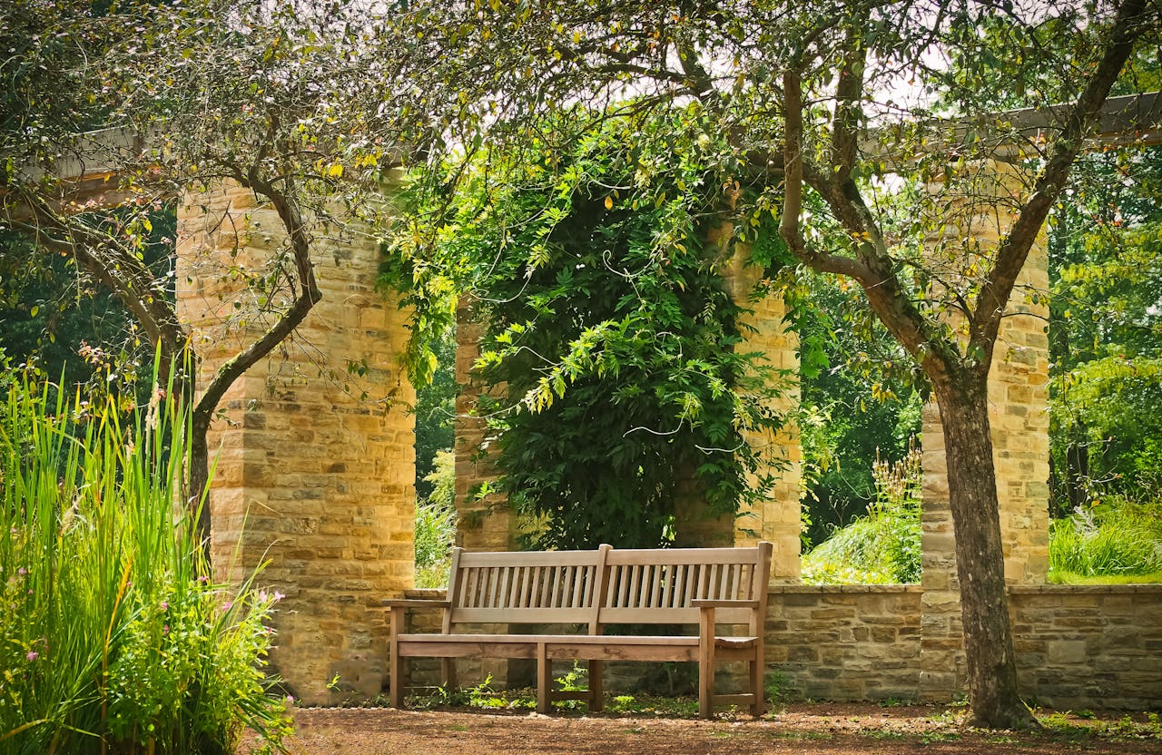 Roma rafforza la tutela del verde urbano: firmati tre protocolli con gli ordini professionali