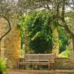 Roma rafforza la tutela del verde urbano: firmati tre protocolli con gli ordini professionali