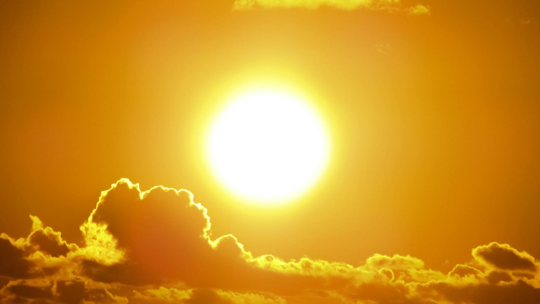 Lazio, Rocca incontra i sindacati: tavolo sul caldo estremo